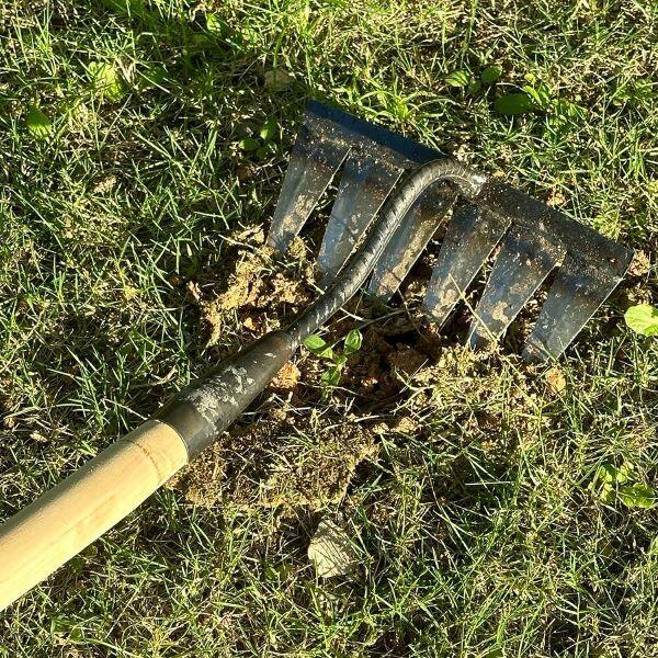 WurzelnMeister | Robuster Unkrautrechen für den Garten
