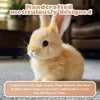 FlauschHase | Plüsch Hase mit realistischem Design & Kuschelweichem Fell