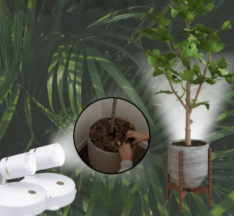 LeuchtPunkt | Kabelloser, dimmbarer LED-Spot mit Fernbedienung