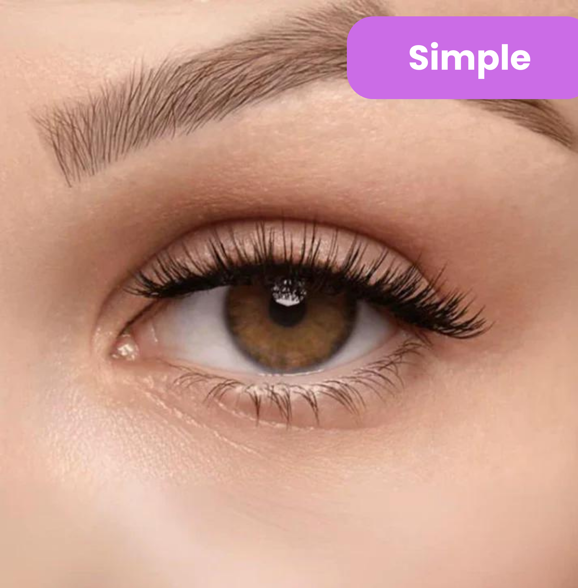 SnapLash | 1 + 1 GRATIS