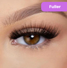 SnapLash | 1 + 1 GRATIS