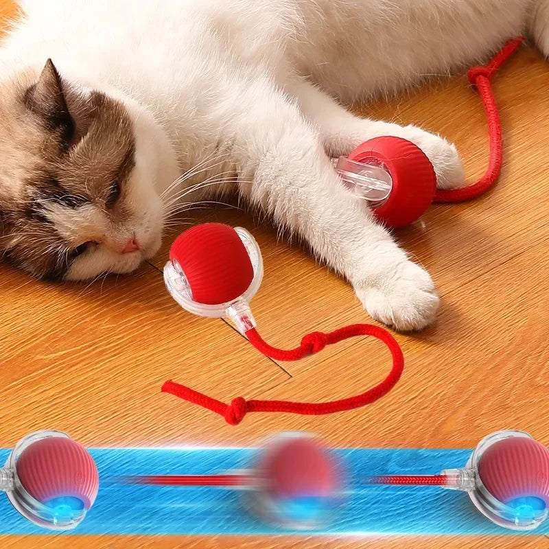 Whisker Whirl: Der ultimative Katzenspielball!