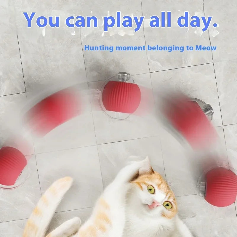 Whisker Whirl: Der ultimative Katzenspielball!