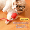 Whisker Whirl: Der ultimative Katzenspielball!