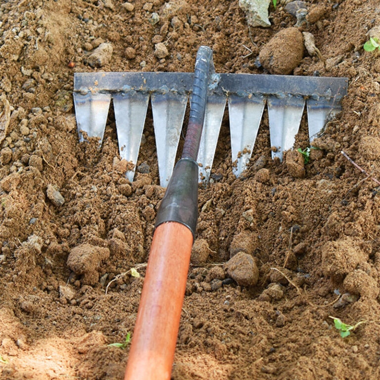 WurzelnMeister | Robuster Unkrautrechen für den Garten