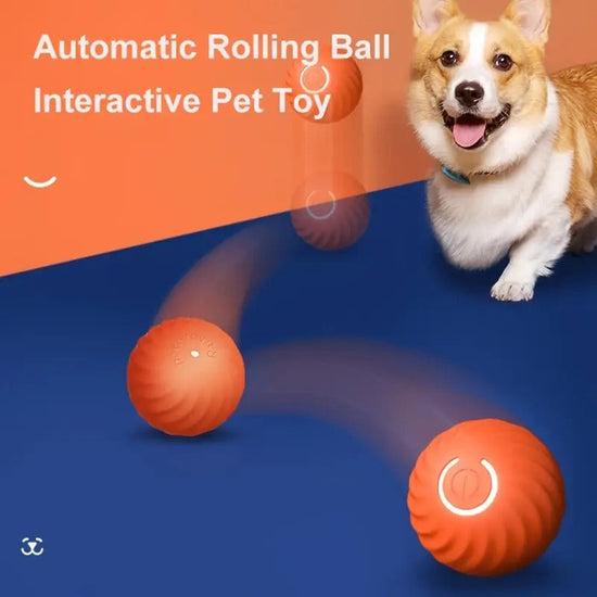 JoyBall | Intelligenter neckender Hundeball