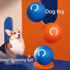 JoyBall | Intelligenter neckender Hundeball