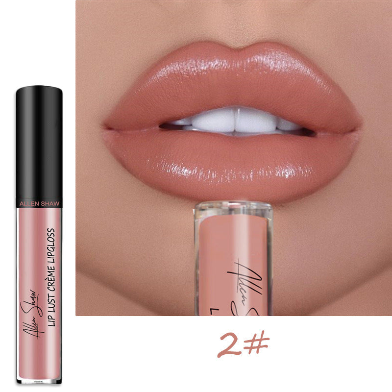 Wasserfester und wischfester Lipgloss (1 + 1 KOSTENLOS)