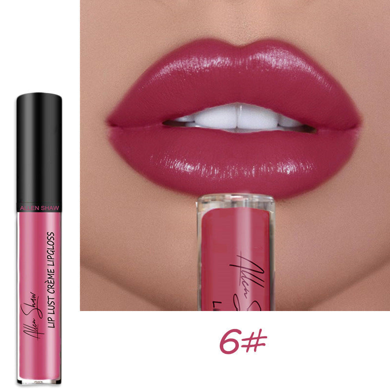 Wasserfester und wischfester Lipgloss (1 + 1 KOSTENLOS)