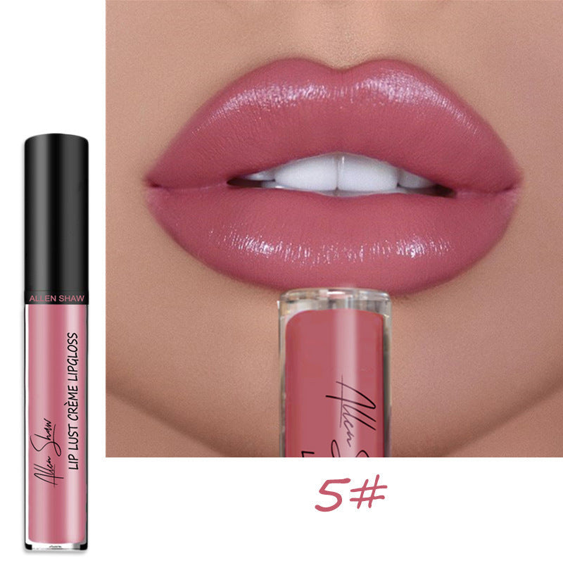 Wasserfester und wischfester Lipgloss (1 + 1 KOSTENLOS)