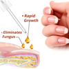 Serum für Nagelwachstum und -stärkung